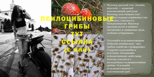 прущий лед Новозыбков