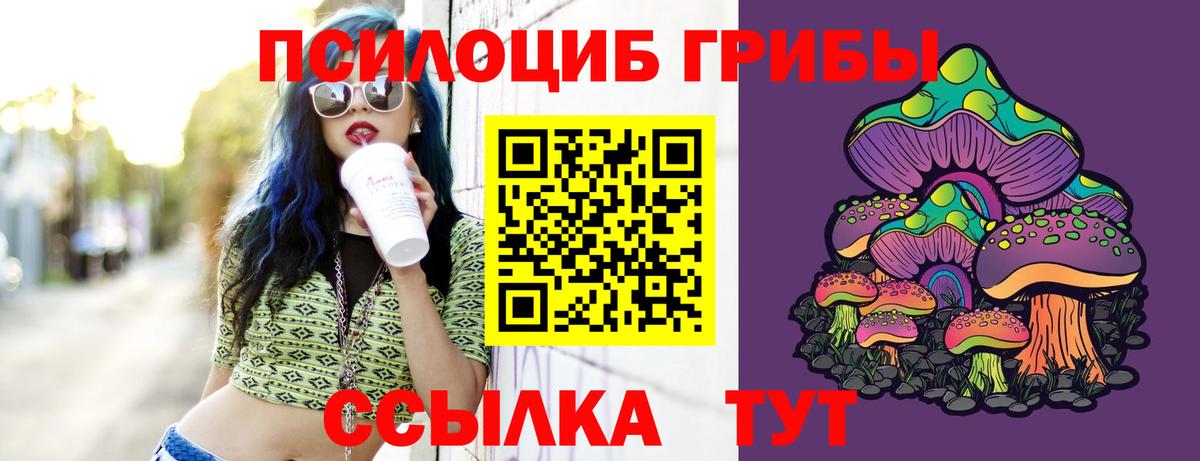 Псилоцибиновые грибы Psilocybine cubensis Троицк
